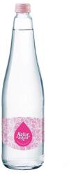 NaturAqua Ásványvíz szénsavmentes NATURAQUA üveges 0, 75L DRS (1693207)