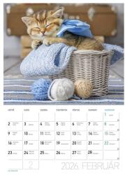 LIZZY CARD Falinaptár LIZZY CARD A/4 álló Cicák 2026 (21696) - vectraline