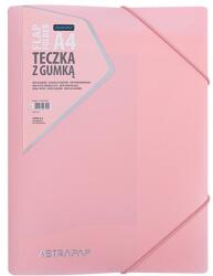 ASTRA Gumis mappa ASTRA PP pasztelline A/4 vegyes színekben (113024003) - vectraline