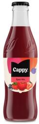 Cappy Gyümölcslé CAPPY Eper 35% üveges 0, 25L DRS (1144507/1144509) - vectraline
