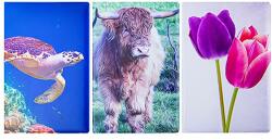  Okmánytartó Személyi Igazolvány felirattal mintás álló 4 lapos - vectraline