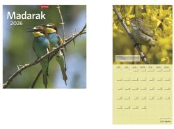 TopTimer Falinaptár TOPTIMER T098 290x580mm álló Madarak 2026 (T9800-18A) - vectraline