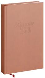 Realsystem Tanítói zsebkönyv REALSYSTEM műbőr A/5 heti púder 2025-2026 (5317-06) - vectraline