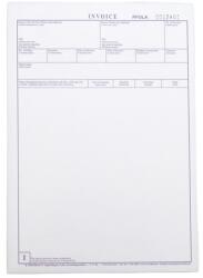  Nyomtatvány deviza számla 5pld 2007 angol - vectraline