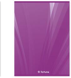 Fortuna Hangjegyfüzet FORTUNA Basic A/4 32 lapos 86-32 (01.08262) - vectraline