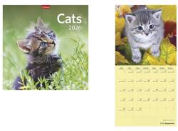 TopTimer Falinaptár TOPTIMER T098 290x580mm álló Cats 2026 (T9800-02A) - vectraline