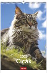 TopTimer Falinaptár TOPTIMER T094 220x330mm álló Cicák 2026 (T9400-11A) - vectraline