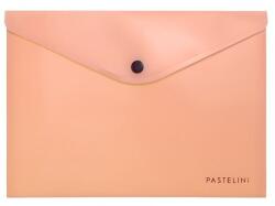 PASTELINi Irattasak PASTELINI patentos A/5 barack (2-656) - vectraline