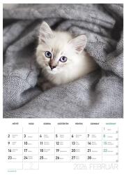 LIZZY CARD Falinaptár spirálozott LIZZY CARD B/4 álló Cicák 2026 (21679) - vectraline