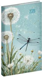 Realsystem Zsebnaptár REALSYSTEM Picture álló fehér lapos Pitypang 2026 (5811-70) - vectraline