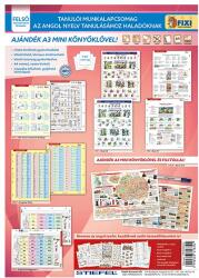 STIEFEL Tanulói munkalap csomag STIEFEL Angol haladó (TMCSOMAG12) - vectraline