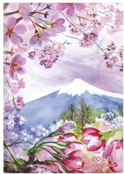 Lizzy Card Határidőnapló LIZZY CARD B/6 napi keménytáblás Mountain 2026 (21785) - vectraline