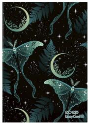 Lizzy Card Határidőnapló LIZZY CARD B/6 napi keménytáblás Moth and moon 2026 (21784) - vectraline