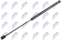 NTY Amortizor portbagaj NTY AE-CT-006 (AE-CT-006)