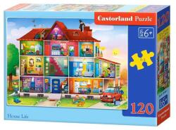 Castorland 120 db-os puzzle - Otthoni életképek (B-13548) (B-13548)