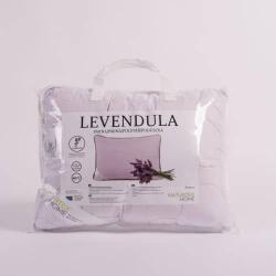 Naturtex Levendula kispárna 40x50 cm 300g (80214)