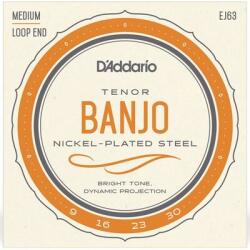 D'Addario EJ63 banjo húr