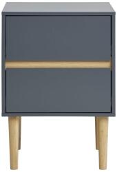 House Nordic Sötétszürke 2 Fiókos Éjjeliszekrény 40 cm