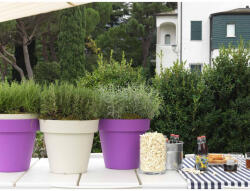 Agyag CSERÉP (SÖTÉT LILA) (PE-2834)