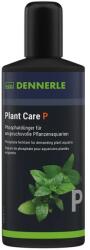Dennerle Plant Care P (foszfát) növénytáp 250 ml (DEN4817)