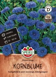 Sperli Blauer Junge búzavirág - 1 csomag