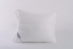 Naturtex Aloe-Vera Soft félpárna 50x70 cm