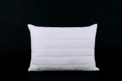 Naturtex Antibacterial Soft félpárna 50x70 cm