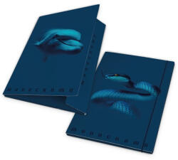 Pigna Gumis mappa karton Pigna Monocromo Blue A/4 (02326623L) - argentumshop