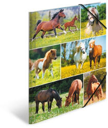 HERMA Gumis mappa karton Herma A/4 Lovak (19342) - argentumshop