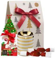 Meglepetésem Ajándékküldő Szolgálat Ezüstfenyő ajándékcsomag