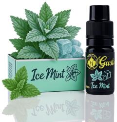  Chemnovatic Mix & Go Ice Mint 10ml - vape
