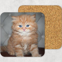 csucsajandek Poháralátét - Fényképes (CSW747338)