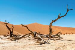 DIMEX ART Fototapetă vlies deșert arid 375 x 250 cm
