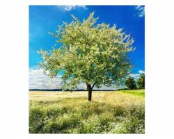 DIMEX ART Fototapetă vlies copac în pajiște 225 x 250 cm
