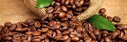 DIMEX ART Fototapet pentru bucătărie - cafea 180 x 60 cm