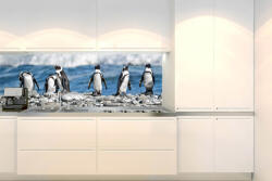 DIMEX ART Fototapet pentru bucătărie - pinguini 180 x 60 cm