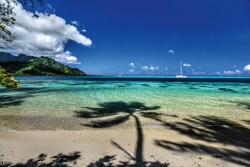 DIMEX ART Fototapetă vlies plajă moorea 375 x 250 cm