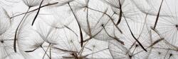 DIMEX ART Fototapet pentru bucătărie - păpădie pufoasă 180 x 60 cm