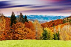 DIMEX ART Fototapetă vlies apus de soare maiestuos 375 x 250 cm