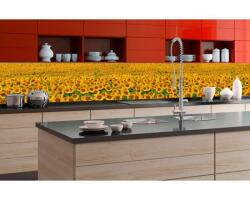 DIMEX ART Fototapet pentru bucătărie - rânduri de floarea-soarelui 350 x 60 cm