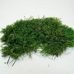Pet King Szárított erdei mohalap| Természetes terráriumi dekoráció - 100 g