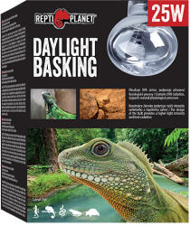 Repti Planet Daylight Basking Spot | Nappali sütkérező izzó - 25 W