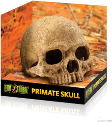 Exo Terra Primate Skull | Főemlős koponya - 15 cm