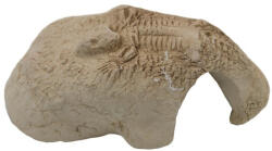 Ceramic Nature | Foszilis bújó kő , fehér színű - S