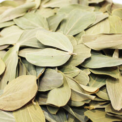 Pet King Pet King| Cabo Verde| természetes szárított levél dekoráció - 1, 5 liter