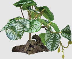 Repto | PLANT ON DECO BEGONIA | Műnövény dekoráció, begónia - 19x19xx19 cm