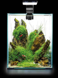 AQUAEL Shrimp Set Smart Day&Nnight 10 black | Nano akvárium garnélarákoknak és kisebb halaknak - 20x20x25 cm
