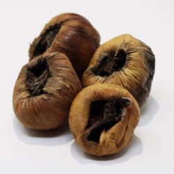 Pet King | Talami | természetes dekor terráriumba - S - 3 db