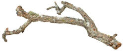 TRIXIE Tronchos Mixed Cork-Branches | Parafa mászóág - 75 cm