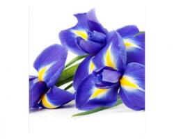 DIMEX ART Fototapetă vlies iris 225 x 250 cm